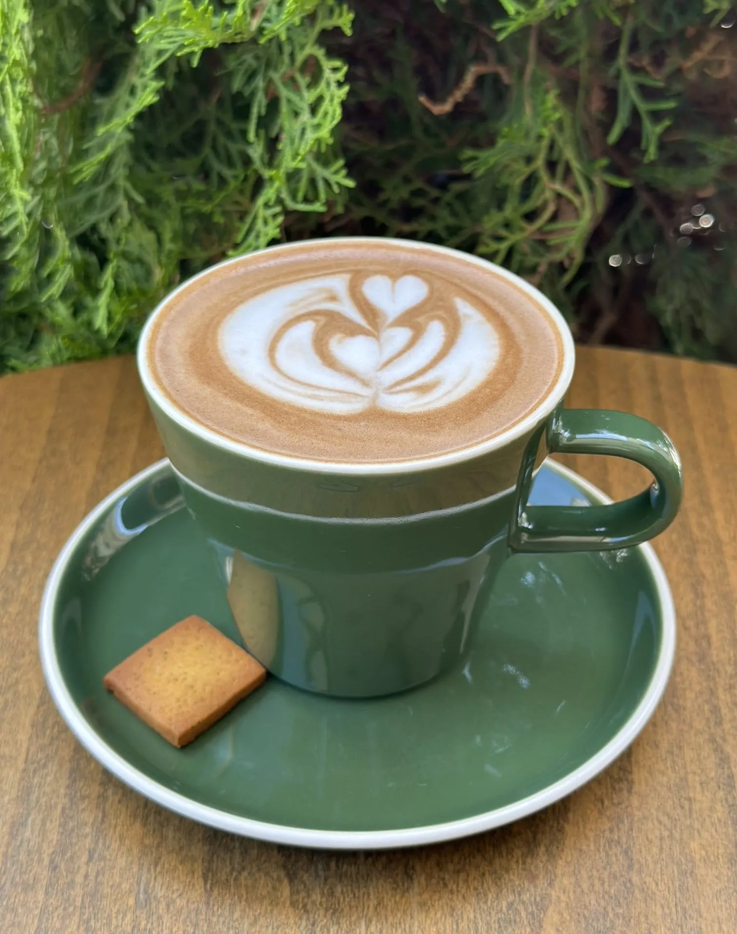 Cafe Coffee (Sıcak)